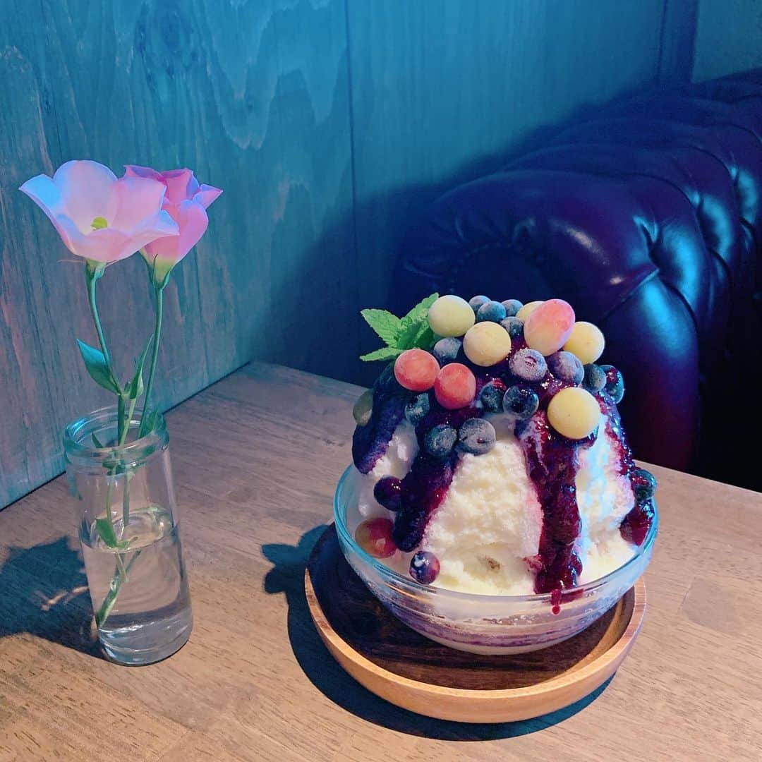 石田ひかりのグルメインスタ