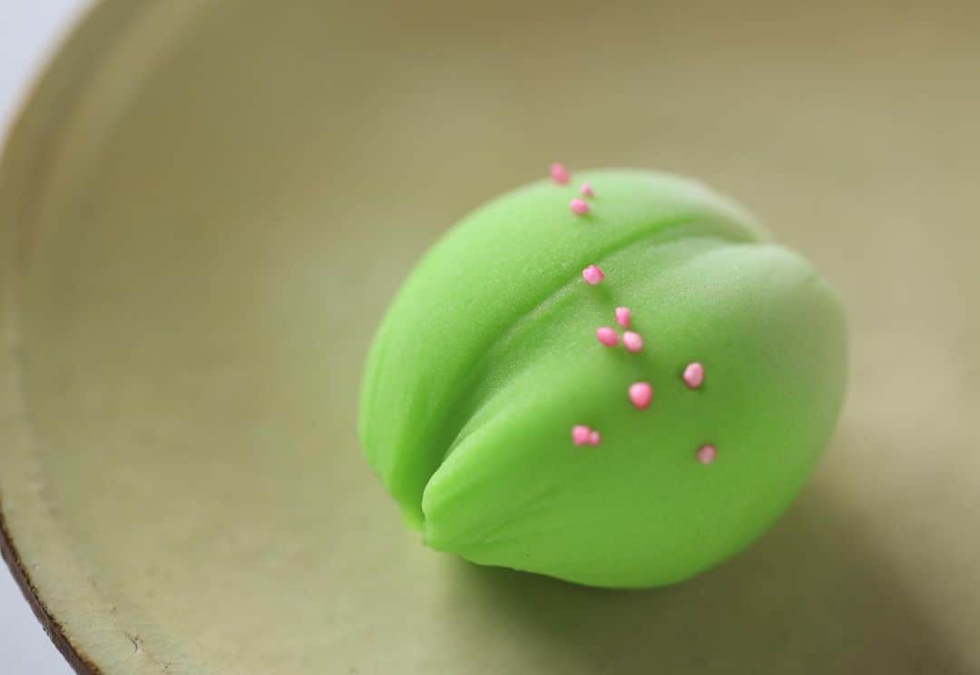 Toru Tsuchieさんのインスタグラム写真 - (Toru TsuchieInstagram)「今日の和菓子はねりきりで作ったこぼれ萩です。 ねりきりとは白餡に餅や芋を混ぜて作った和菓子で 茶道 で使われる「主菓子」の一種です。 撮影 用に作成しました。 インスタ用の画像の在庫が減ってきました。 フェイスブックページのいいね！もよろしくお願いします。 https://www.facebook.com/shishisu/ Today's wagashi is  bush clover with Nerikiri. The Nerikiri is the material of wagashi made by mixing the rice cake and yam in white bean. Is a kind of "Jounamagashi" as used in the tea ceremony. The sweets I've made for the shooting.  #福泉堂  #和菓子  #おいしい #funny #my_eos_photo #出雲  #wp_delicious_jp #カメラ好きな人と繋がりたい  #写真好きな人と繋がりたい　 #model #life #可愛い #Japan #wagashi  #جميل #красивый #ファインダー越しの世界 #design #work #马来西亚 #happy #Mignon  #Malaysia #lifestylenipponpic #photooftheday #สวย #sweets #klcc #yummy」8月27日 9時06分 - choppe_tt