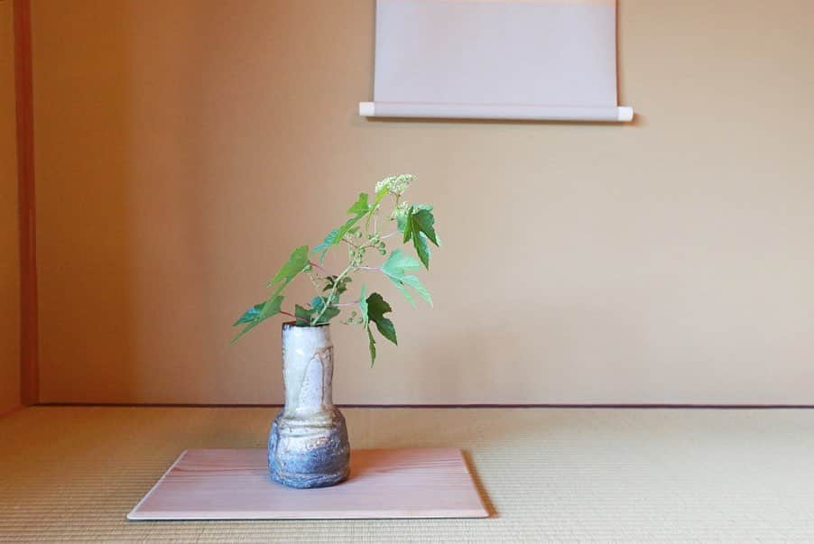 樋口智恵子さんのインスタグラム写真 - (樋口智恵子Instagram)「Weekend onsen trip to Yugawara “Sekiyo”.Minimal and classy♨︎🌿 . . . . 週末、湯河原「石葉」へ♨️洗練されたおもてなしを随所に感じる、かなり大人なお宿です。 お部屋は全9部屋。私が宿泊したのはミニマルで上品で居心地の良い、素晴らしい眺めのお月見台があるお部屋🌿この離れはつい最近リニューアルされたそうで畳も新しく家具やバスルームもピカピカでした✨ 掛け流しのお湯に浸かり、柔らかな風を浴びつつビール...日本の夏って素晴らしい！と、改めて感じることができた最高の週末になりました🇯🇵 . . . . #湯河原 #石葉 #温泉旅行 #週末旅行 #温泉 #温泉旅館 #onsen #weekendtrip #yugawara #japantrip #hotsprings #旅好き #温泉大好き」8月27日 9時31分 - chieko_higuchi