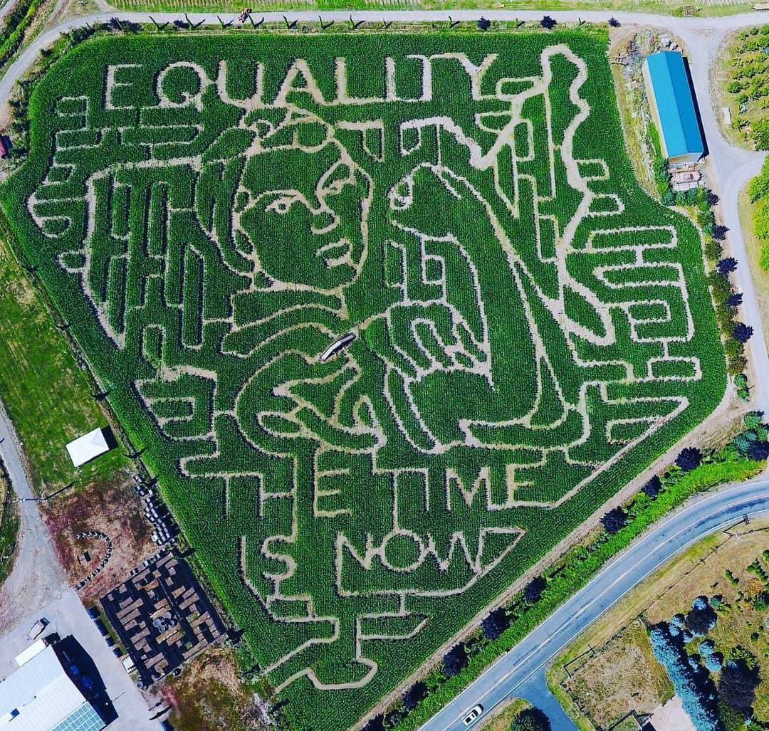 Portlandさんのインスタグラム写真 - (PortlandInstagram)「The Time is NOW! This year’s @bellaorganicfarm corn maze is dedicated to EQUALITY in our country! With a special dedication to the @uswnt teams World Cup win and in support of the effort for equal pay and equal representation in the workplace!  Open August 31-October 31! Tag your friends below!  #portland #cornmaze #pdx #portland #fall #equality」8月27日 9時44分 - portland