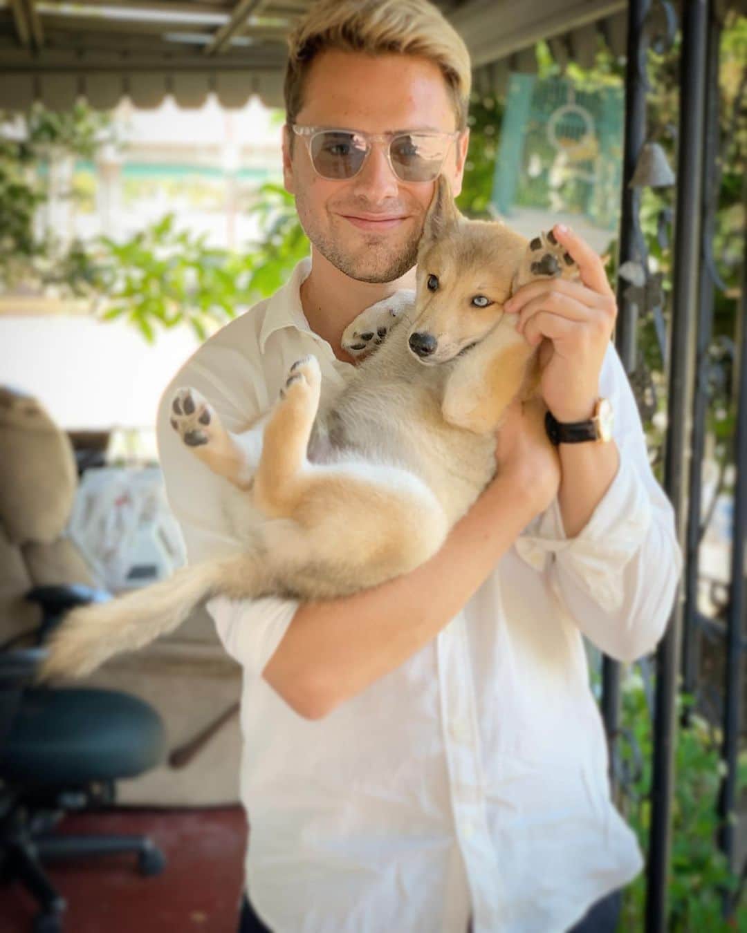 ギャレット・バックストロームのインスタグラム：「This was taken the day I adopted @enzo_da_pomsky.... I’m so happy to have finally gotten a dog. He has already brought so much joy into my life and I can’t wait to go on crazy adventures with this lil guy! #nationaldogday」
