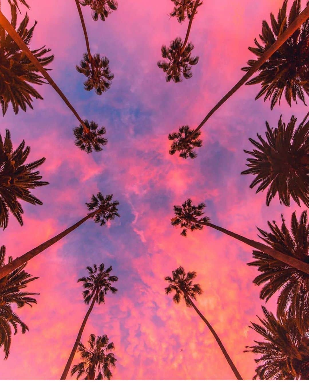 scottlippsさんのインスタグラム写真 - (scottlippsInstagram)「Goodnight LA, and here’s to a beautiful summer #la 📷 @audiotistic_ #summer #skies #sunsets」8月27日 11時59分 - scottlipps
