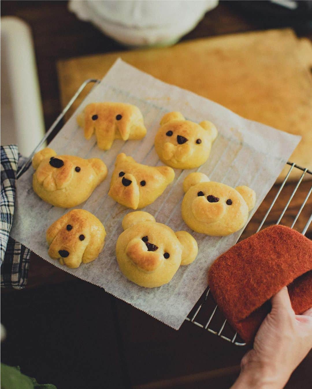 のインスタグラム：「Ξ 2019 Autumn Styling Ξ「Fine Autumn Day – たのしいある日」 お気に入りの物たちに囲まれたわくわくする場所。今年の秋のスタイリングテーマは「Fine Autumn Day」。家の中で大切な人と過ごす、温かみのある秋の1日をイメージしました。 ----- ◆詳細はプロフィールのリンクからどうぞ @unico_fan ----- #ウニコ #unico #ウニコルーム #unicoloom #unicoオンラインショップ #2019AutumnStyling #スタイルアルバム #ADDAY #アディ #TREL #トレル #ソファ #ベッド #テーブル #おもちゃ #絵本 #子ども #子ども部屋 #秋 #夕暮れ #日々の暮らし #模様替え #ライフスタイル #インテリア #家具 #家づくり #部屋づくり #リビング #ダイニング #心地よい暮らし」