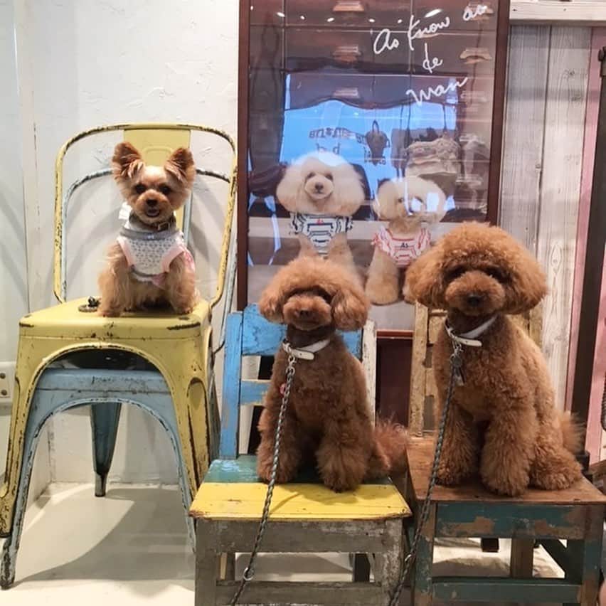 Rubyのグルメインスタ