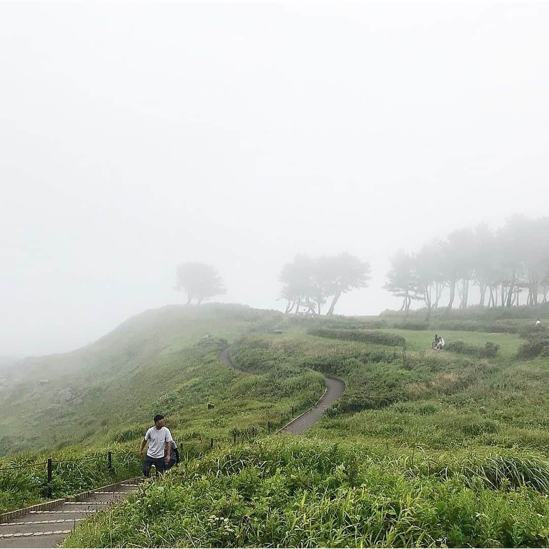 Michikoさんのインスタグラム写真 - (MichikoInstagram)「_______ NATURE🌳🍦🌊✔️ . 霧のようなものがかかっていて幻想的だった  #葦毛崎展望台 横の遊歩道。 . 3度目にして、初めて見た景色。 . 今まで “霧がかかった後は晴れ” って 当然のことのように思っていたけれど、 この時期、東北の太平洋側にかかる霧のようなものは #やませ という風で、夏でも晴れずに寒くなるとのこと。 . #やませ を撮りに来る方もいるそうで...😮 思いがけない貴重な体験だった。 . 東北は数え切れないほど来ているのに、 まだまだ見ていないものがあるなぁとしみじみ思った。 . . #葦毛崎 には、 青森三大アイスクリームのお店 #ホロンバイル もあり 地元の人にとっては 近辺に来ると立ち寄るのがお決まりのコースだとか。 この日も地元の人たちで賑わっていました☺️ (写真撮るの忘れた🍦) . . 近くには海岸沿いに広がる #種差天然芝生地 もあって 自然好きにはたまらないエリア。 . 晴れた日は、太平洋を一望できる絶景スポット。 . . #動画を見返していたら #🐻がもののけ姫を熱唱していて笑えた #私がこの景色ジブリみたいだーと言ったからかな笑 . . #hachinohe  #throwback .」8月27日 12時56分 - michiko.jp