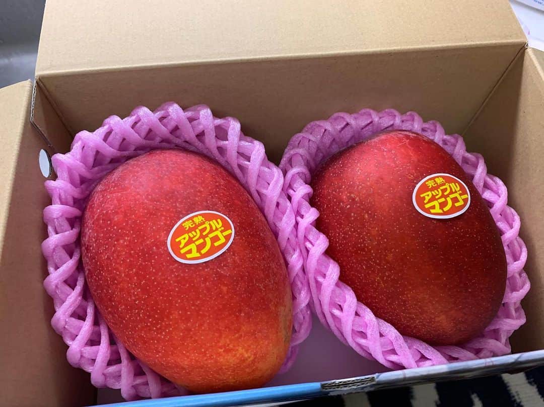 みかんさんのインスタグラム写真 - (みかんInstagram)「種子島産のアップルマンゴー🥭 スーパーコンシェルジュの濱田さんが送ってくれました☺️ 今年、マンゴーデビューした息子はどハマり🥭 息子のフルーツランキングがこうなりました🤣 高級フルーツが上位やないかいっ🥭🍈🍓 そして私は3位。。。🍊 寂しい。。。😭 #種子島産マンゴー #大和温泉ホテル #アップルマンゴー #スーパーコンシェルジュ濱田さん #息子果物好き」8月27日 22時34分 - mikan02241984