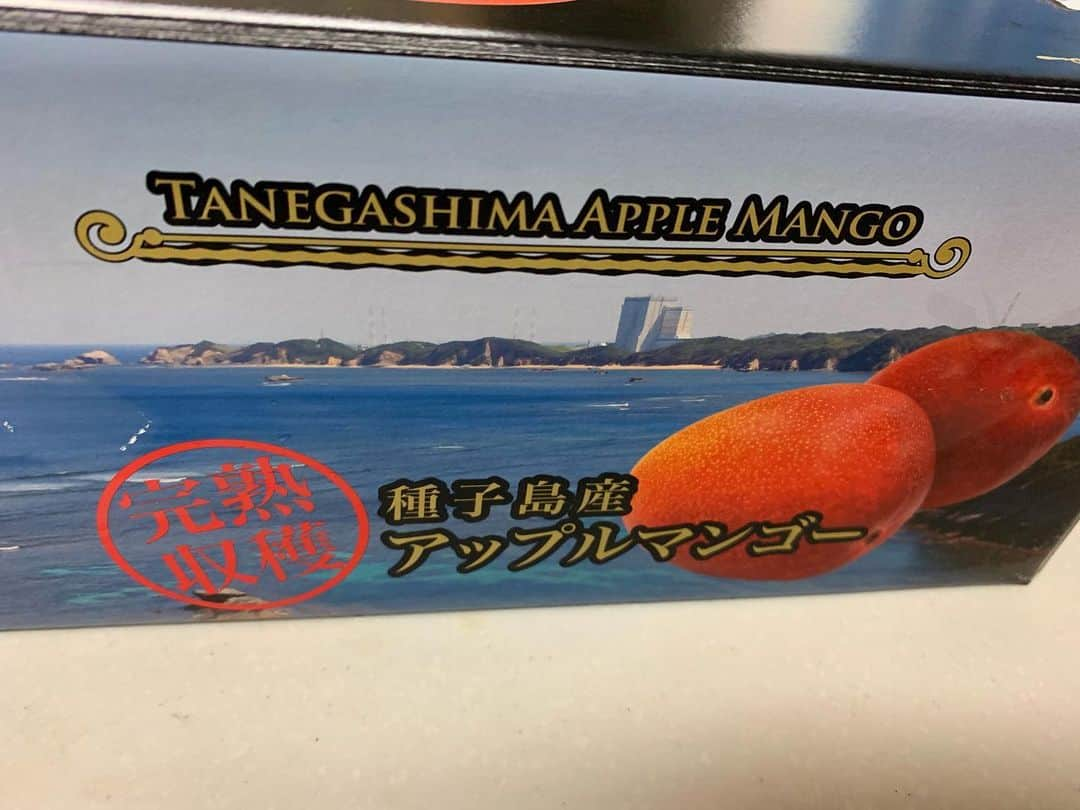 みかんさんのインスタグラム写真 - (みかんInstagram)「種子島産のアップルマンゴー🥭 スーパーコンシェルジュの濱田さんが送ってくれました☺️ 今年、マンゴーデビューした息子はどハマり🥭 息子のフルーツランキングがこうなりました🤣 高級フルーツが上位やないかいっ🥭🍈🍓 そして私は3位。。。🍊 寂しい。。。😭 #種子島産マンゴー #大和温泉ホテル #アップルマンゴー #スーパーコンシェルジュ濱田さん #息子果物好き」8月27日 22時34分 - mikan02241984