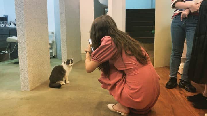 ヘジョンのインスタグラム：「오늘 몽이와 함께😽 드디어 내 침대 ㅠㅠㅠ 모두 맴나잇🖤」