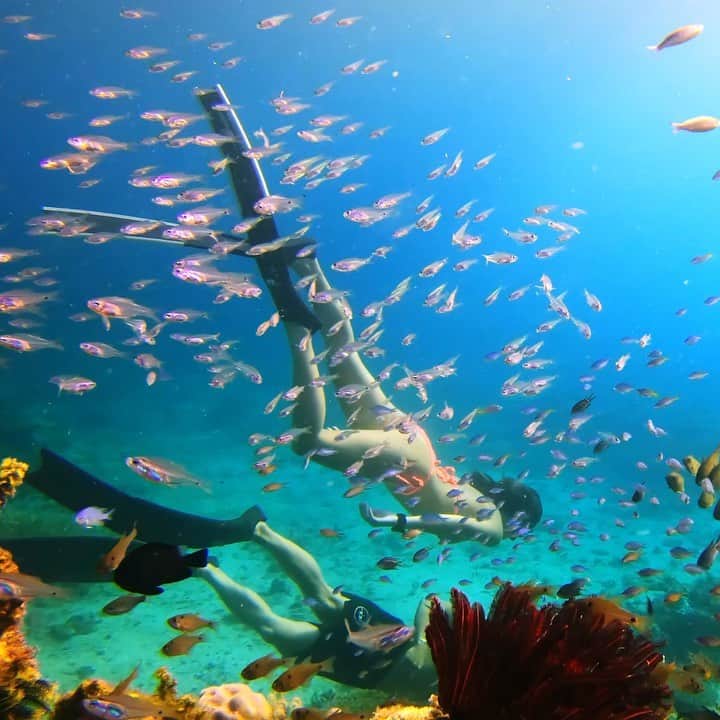 goproのインスタグラム