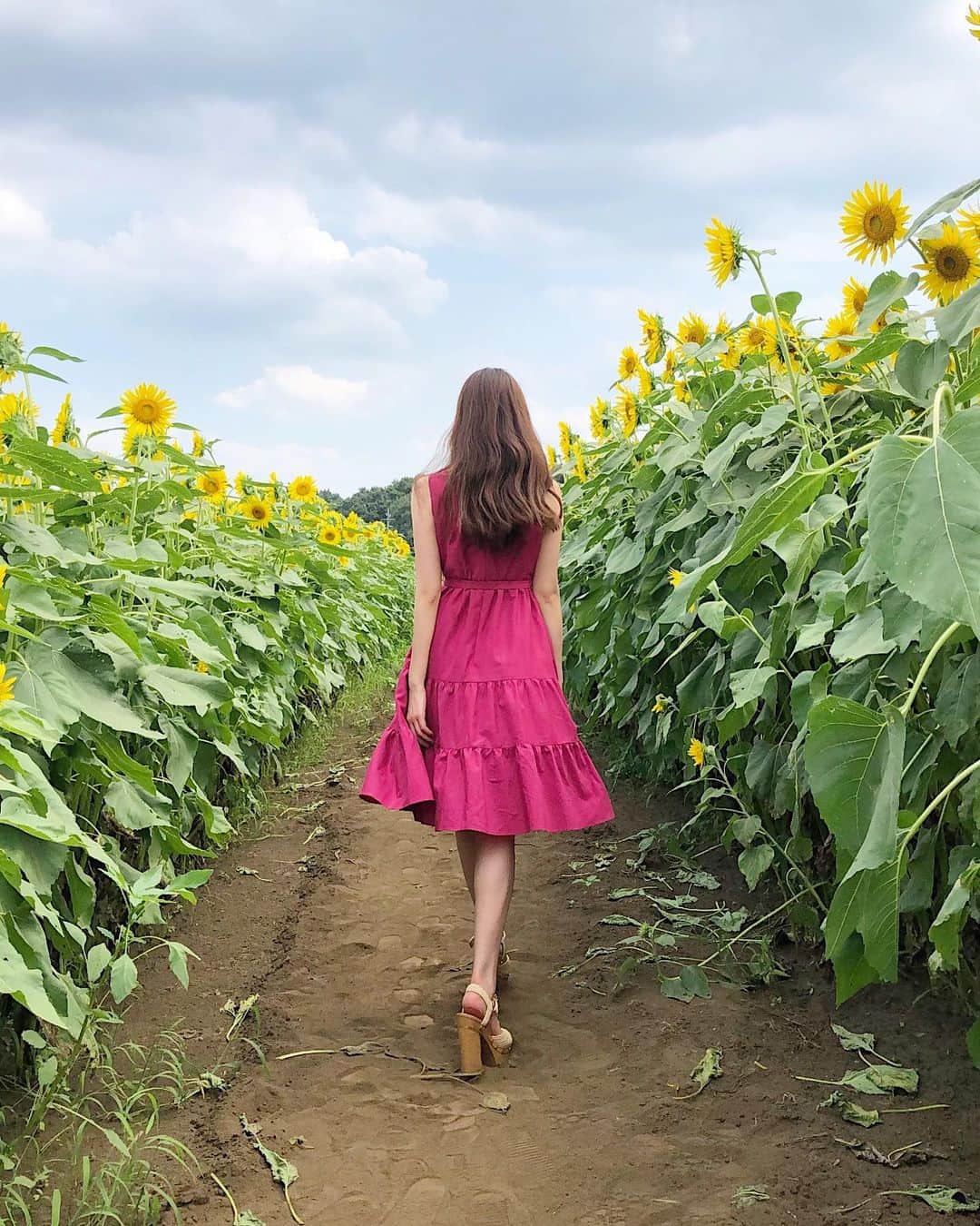 宮内理沙さんのインスタグラム写真 - (宮内理沙Instagram)「🌻❤︎ . . . 今年はなんだかんだ夏らしいこと沢山できてる🤔✨ ひまわり畑も行けてよかった(*´｀*)」8月27日 23時16分 - risa_miyauchi