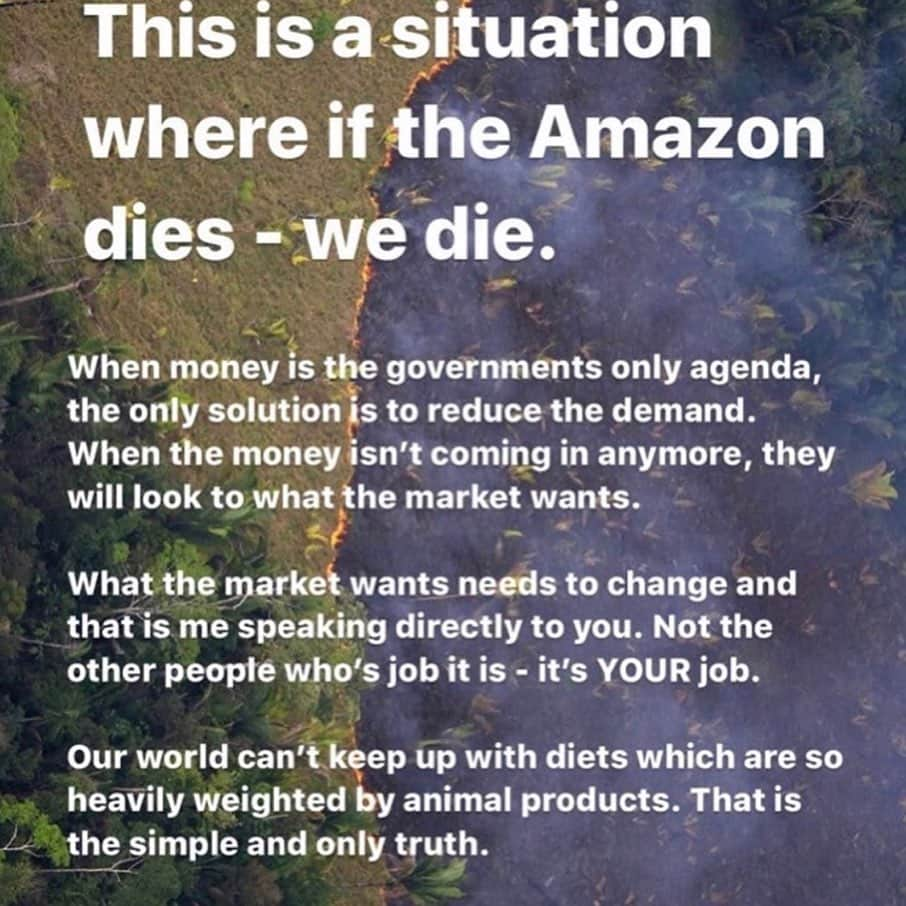 ポール・ブラックソーンさんのインスタグラム写真 - (ポール・ブラックソーンInstagram)「Often time we think we are living in Democracy when really we are living in #Corporatocracy:  The corporation gives $$$ to the politician to fund the ‘democratic’ election campaign. In return the duly elected politician helps push through legislation to support the corporation’s special interests. It is 100% money orientated without a care for any other aspect of life.  Whether these fires have been started purposefully or not, what has been happening in the Amazon for years is a prime example of Corporatocracy in action.  Remember the Cree Indian Prophecy: “Only when the last tree has been cut down, the last fish been caught, and the last stream poisoned, will we realize we cannot eat money”. Greed kills. The other point made in this post (sorry, I don’t know the source) refers to meat consumption. 25% of carbon emissions comes from the meat/dairy industry. 25%! Much of the Amazon clearance is to accommodate that demand for mass produced meat. Food for thought: maybe we should all steer clear of mass produced meat...??? If people don’t eat it, the corporations won’t produce it. Thoughts ?」8月27日 15時43分 - paulblackthorne