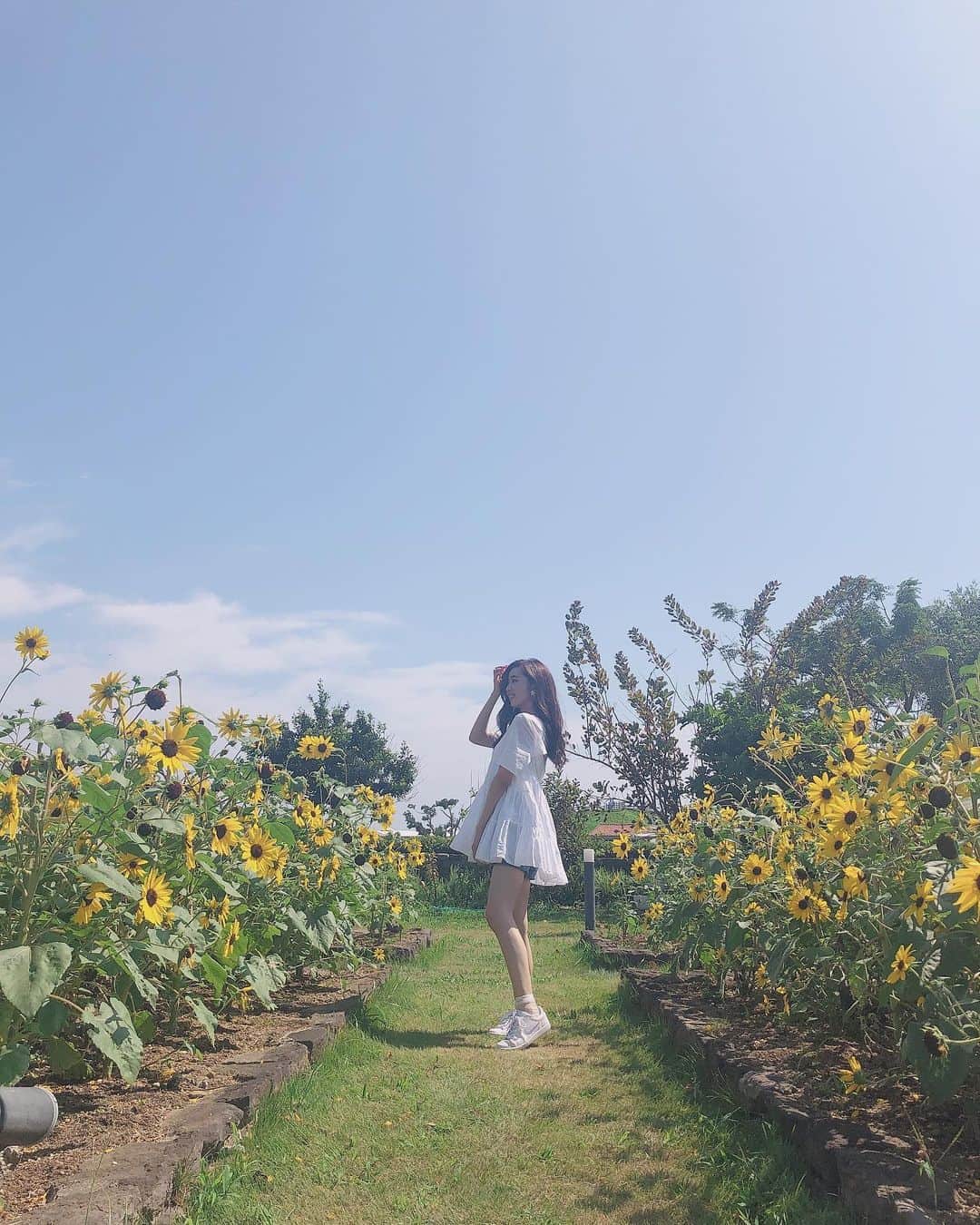 濵松里緒菜さんのインスタグラム写真 - (濵松里緒菜Instagram)「* * * 🌻🌻🌻 * * #sunflower #ひまわり #ひまわり畑」8月27日 16時20分 - riona_hamamatsu