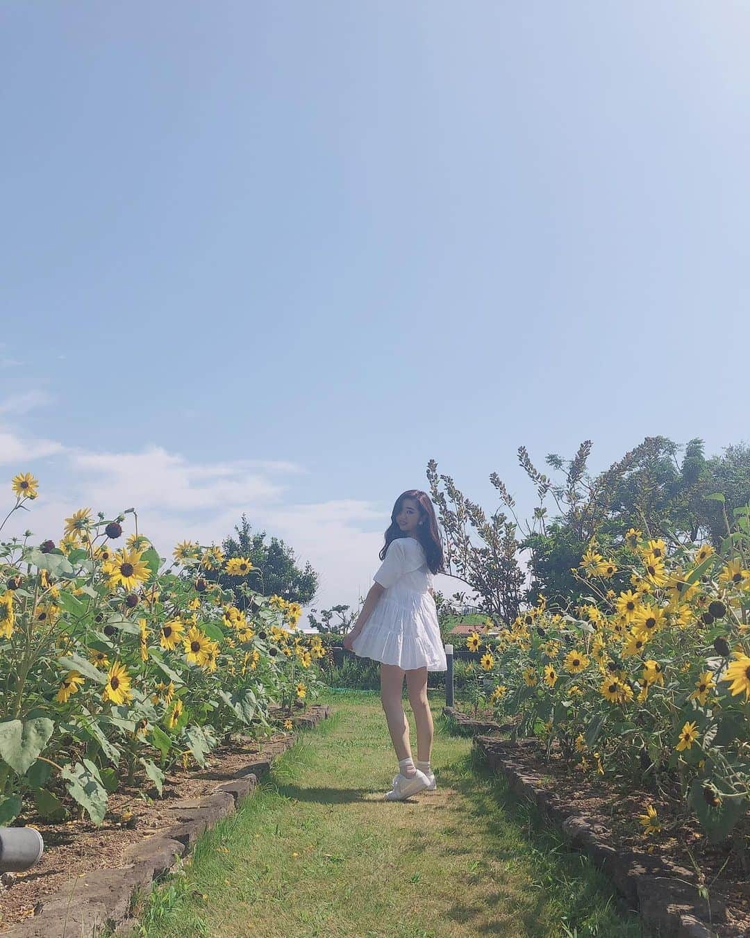 濵松里緒菜さんのインスタグラム写真 - (濵松里緒菜Instagram)「* * * 🌻🌻🌻 * * #sunflower #ひまわり #ひまわり畑」8月27日 16時20分 - riona_hamamatsu