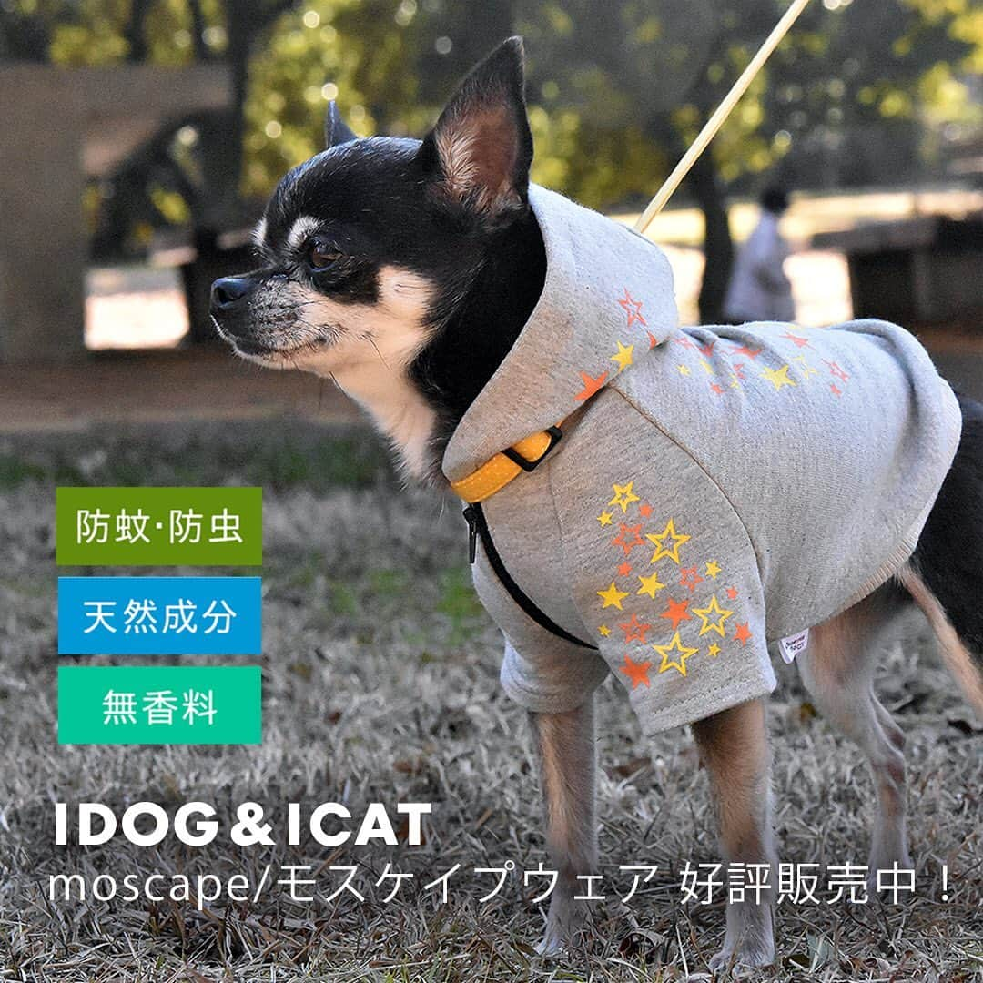 iDog&iCatさんのインスタグラム写真 - (iDog&iCatInstagram)「👕✨ 天然由来の成分&無香料だから安心 IDOG&ICATオリジナル防虫ドッグウェア . お洋服を着るだけ✨とっても簡単な防蚊・防虫対策！ 当店オリジナルの『moscape(モスケイプ)』ウェアをご紹介♪ . 夏の暑さが落ち着くこの時期こそ油断大敵☝️ 蚊・ノミ・ダニを防いで、愛犬愛猫の快適な生活をサポートします . 気になる商品はタップして商品ページにアクセス♪ . IDOG&ICAT公式LINEをお友達登録でお得な情報をゲットしよう！LINE ID『 @idogicat 』で検索♪ . #idogicat #idog #icat #犬の服idog #犬 #猫 #ドッグウェア #犬服 #犬の服 #猫服 #猫の服 #防虫 #防蚊 #moscape #モスケイプ」8月27日 16時21分 - idogicat