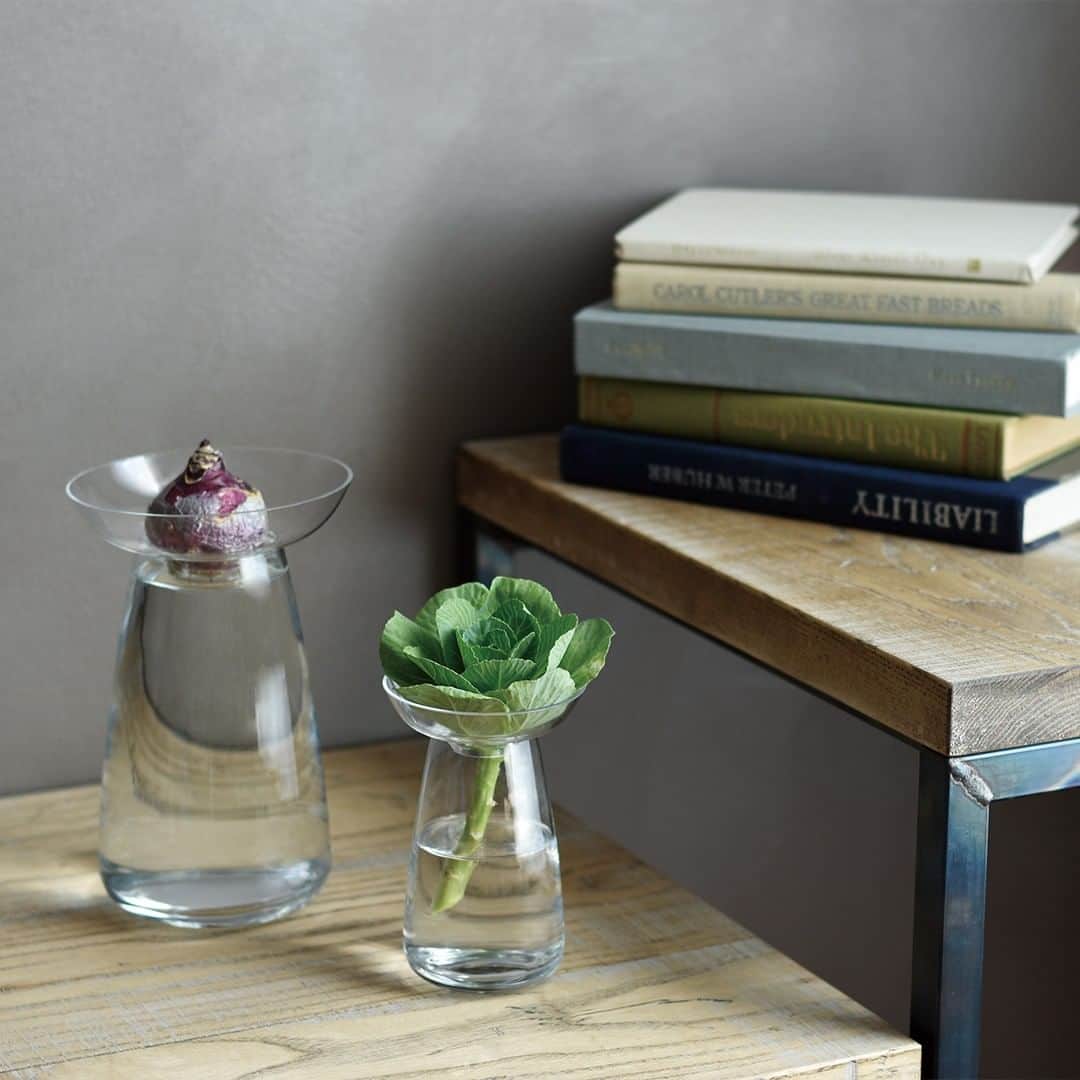 のインスタグラム：「[Collection: AQUA CULTURE VASE]⁠ ⁠ AQUA CULTURE VASEは多様な植物の成長や手入れのしやすさを考慮し、2つのパーツで構成されています。皿をとりはずすと、草花を生ける花瓶としても使うことができます。⁠ 詳しくはKINTOのWEBSITEをぜひご覧ください。（プロフィールをクリック @kintojapan） ⁠ ---⁠ AQUA CULTURE VASE is composed of 2 parts, the plate and the vase, which make taking care of plants easy. You can choose to enjoy it as a flower vase without the plate. Check out on KINTO website (see link in bio @kintojapan)⁠ .⁠ .⁠ .⁠ #kinto #キントー #aquaculturevase #flowervase #vase #greenlife #hydroponics #花のある暮らし #丁寧な暮らし #植物 #花瓶 #greenery #design #デザイン」