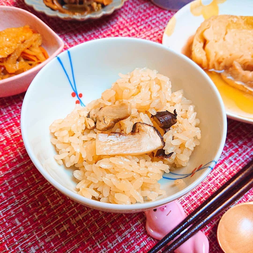 佐藤実絵子さんのインスタグラム写真 - (佐藤実絵子Instagram)「〔松茸ご飯〕ごはんのきろく🍚🍴 * 献立は‥ 🔸松茸ご飯 🔸松茸入り茶碗蒸し 🔸まるごとキャベツの塩豚煮込み 🔸切り干し大根の煮物 🔸豚肉のオイスターソース炒め * すでに少し前なんですが、一足早く(？)秋の味覚を味わっちゃいました❤️ 実家の母から松茸もらったので、松茸ご飯と茶碗蒸しに！ 炊き上がりはとてつもなくいい香りでした～😍 * まるごとキャベツはこの日で食べきり。配膳の都合で最後にメインみたいになった(笑) * さっきめちゃめちゃ雨すごいときに外歩いてた☔😂レインシューズでこれば良かったよー😭 * * #みえこごはん  #松茸 #松茸ご飯 #夕ごはん #夜ごはん #二人ごはん #ふたりごはん #おうちごはん #おうちごはんlover #しあわせごはん #家庭料理 #献立 #デリスタグラム #デリスタグラマー #クッキングラム #うつわ好き #うつわ #instafood #lovefood #instalove  #foodstagram #japanesefoods」8月27日 18時19分 - mieppp624