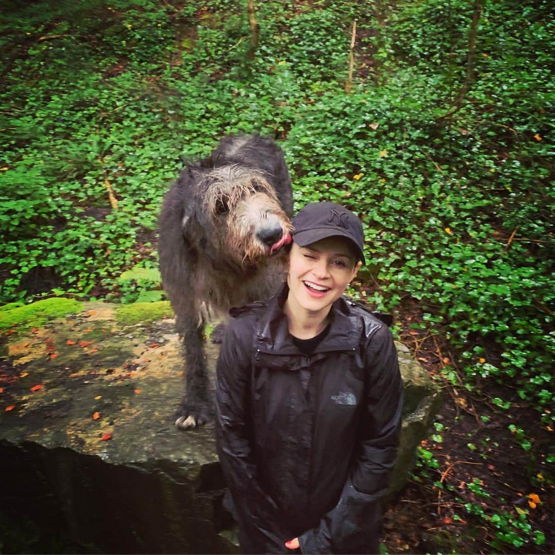 サーシャ・コーエンさんのインスタグラム写真 - (サーシャ・コーエンInstagram)「Early morning trekking with these Irish Wolfhounds (meaning they hunt wolves). Fun facts: They love coffee and kisses and weigh 180 lbs. ☕️ 😚 #Ireland #ashfordcastle」8月27日 18時36分 - sashacohennyc