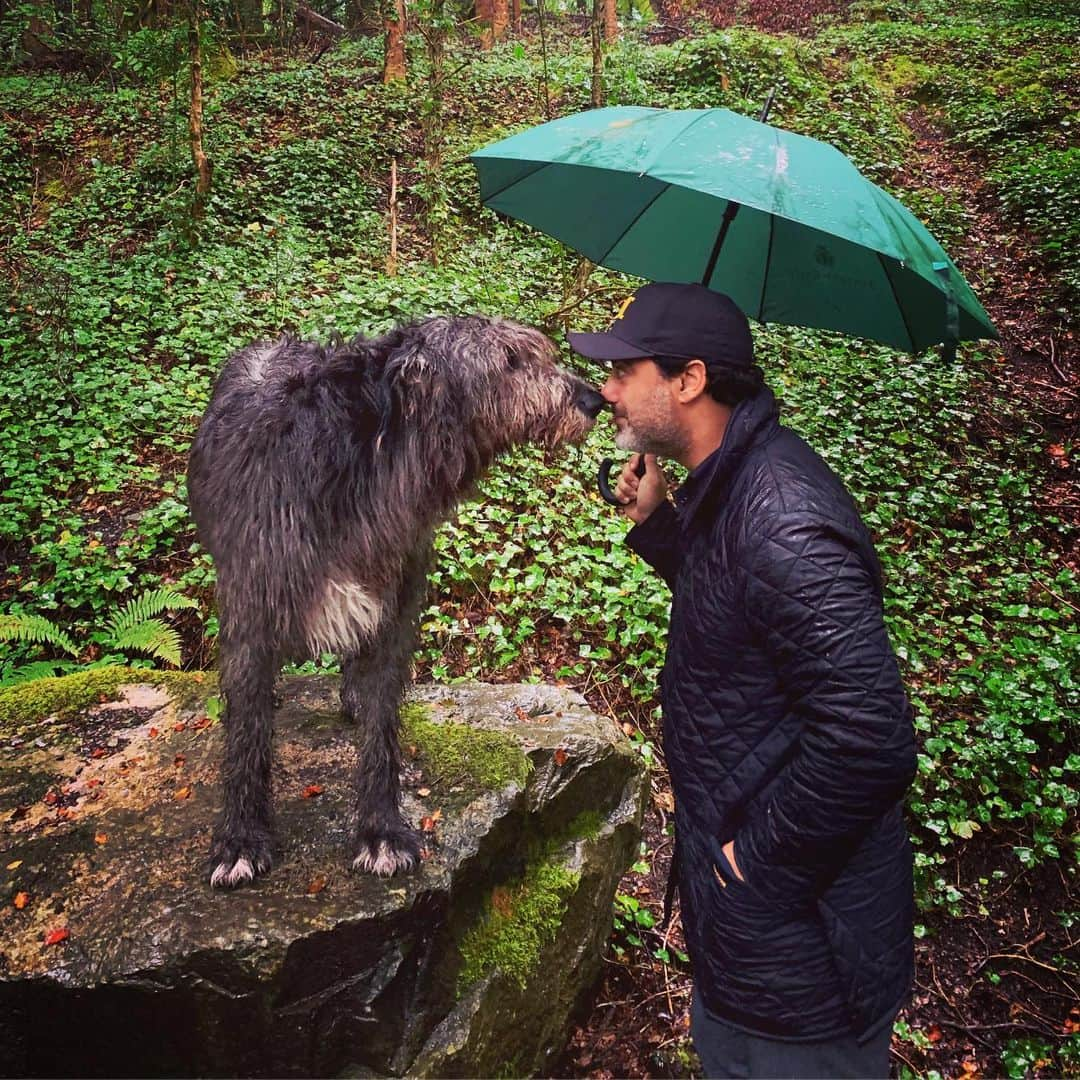 サーシャ・コーエンさんのインスタグラム写真 - (サーシャ・コーエンInstagram)「Early morning trekking with these Irish Wolfhounds (meaning they hunt wolves). Fun facts: They love coffee and kisses and weigh 180 lbs. ☕️ 😚 #Ireland #ashfordcastle」8月27日 18時36分 - sashacohennyc