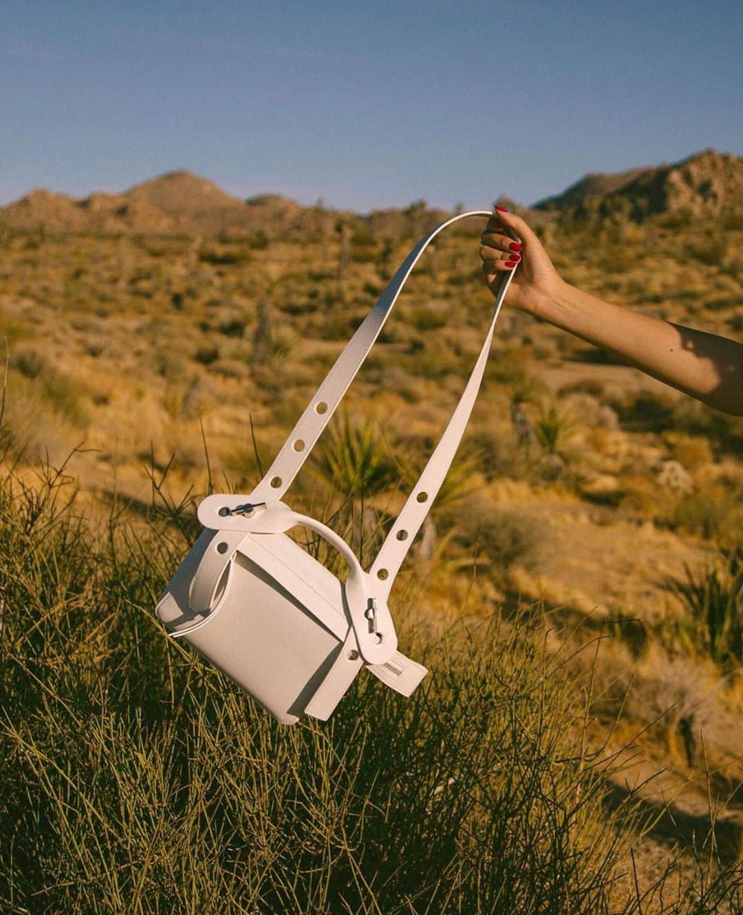 Sophie Hulmeのインスタグラム：「A Bolt in Joshua Tree. Regram @thestylecat」