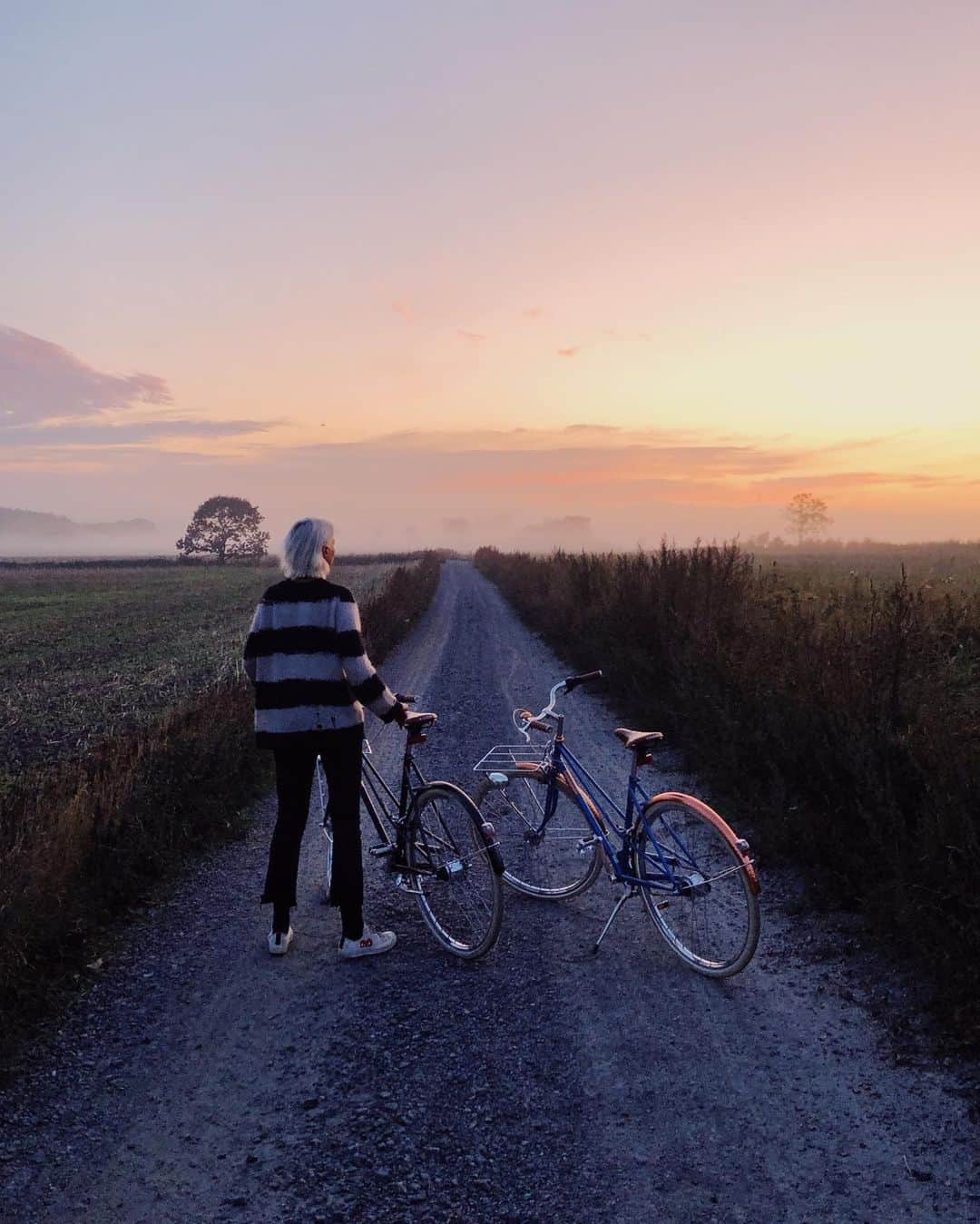 Our Food Storiesさんのインスタグラム写真 - (Our Food StoriesInstagram)「Pure Sweden Magic 💫✨🇸🇪 What a wonderful bike tour through the fog it was yesterday night. We are on our way back to Berlin now for some exciting productions but we are already looking forward to be back soon and to start with renovations at our house. Can’t wait to share more with you guys soon🤗 #ourfoodstories_travel  ____ #countrysideliving #countrysidelife #fellowmag #visitskåne #momentsofmine #summervibes #simplejoys #chasinglight #foggy #countrysidewalk #visitsweden #foggyday」8月27日 20時52分 - _foodstories_
