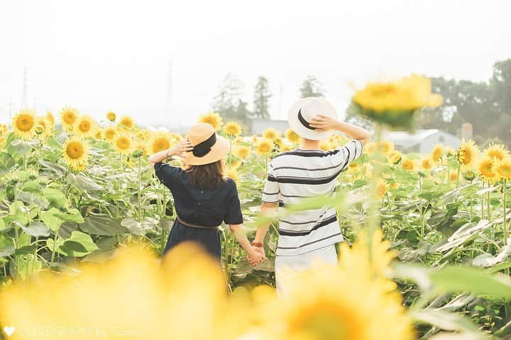 Lovegraph［ラブグラフ］さんのインスタグラム写真 - (Lovegraph［ラブグラフ］Instagram)「. 今年も夏の思い出をありがとう そんな気持ちを込めて大切な人と写真を残しませんか☺️ ㅤㅤㅤ ┈┈┈┈ ㅤㅤㅤ 人気Lovegrapherによるプリセット(写真フィルター)販売を再開しました！ 詳しくはストーリーをご覧ください❁︎ ㅤㅤㅤ ┈┈┈┈ ㅤㅤㅤ こちらも更新しております▷ @lovegraph_kids @lovegraph_maternity @lovegraph_wedding @lovegraph_shichigosan  ㅤㅤㅤ #Lovegraph #ラブグラフ #幸せな瞬間をもっと世界に ㅤㅤㅤ #カップルフォト #カップルフォト倶楽部 #ロケーションフォト #リンクコーデ #カップルコーデ #モノトーンコーデ #記念日デート #記念日 #サプライズ #写真好きな人と繋がりたい #写真撮ってる人と繋がりたい #カップルさんと繋がりたい #夏の思い出 #ひまわり畑 #ひまわり #photography #sunflower #japanese #lg_ひまわり」8月27日 21時03分 - lovegraph_me