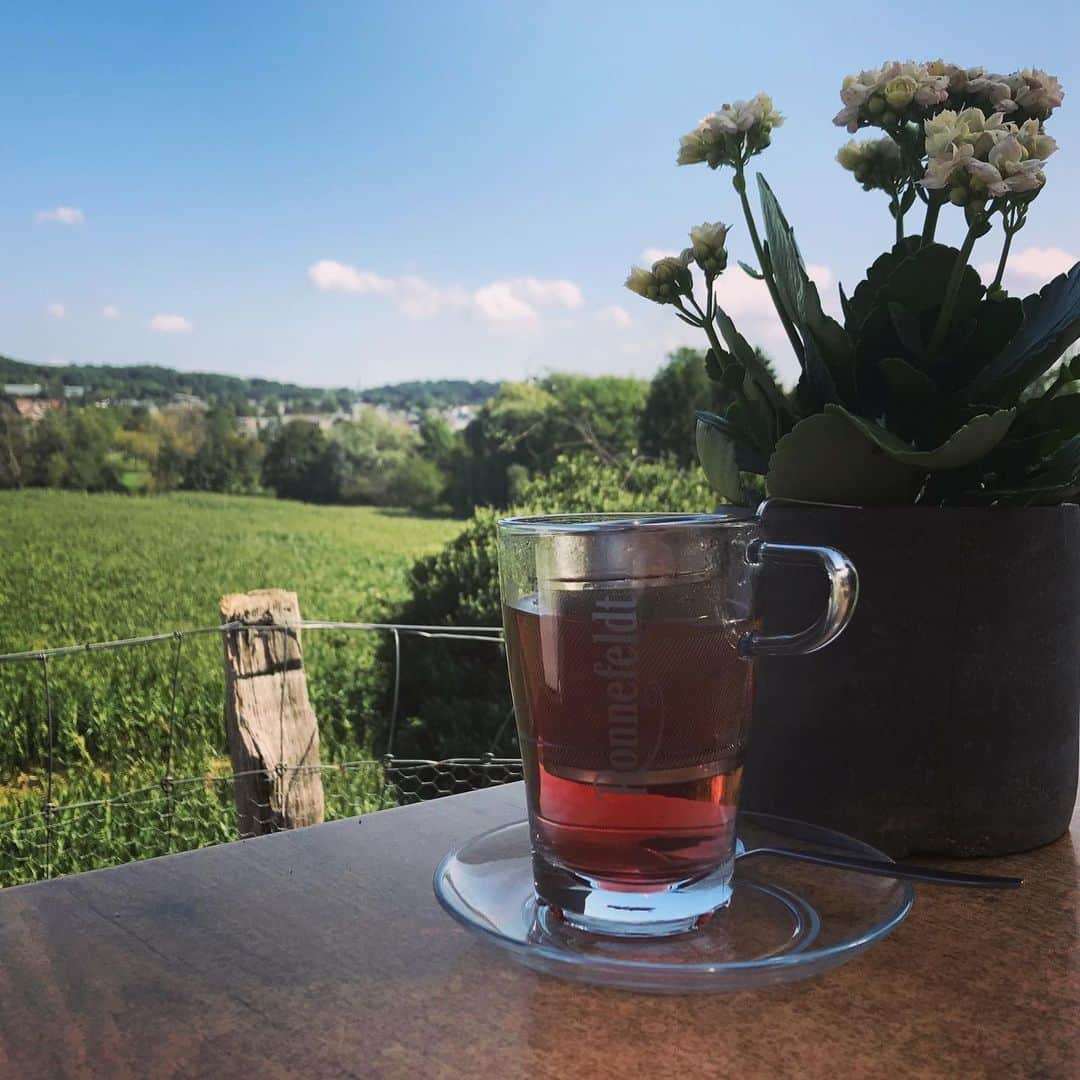 ステファニー・ヨーステンさんのインスタグラム写真 - (ステファニー・ヨーステンInstagram)「Cup of tea with a view 🌱☺️ #breaktime #afternoontea #teatime #letsgooutside」8月27日 21時31分 - stefaniejoosten