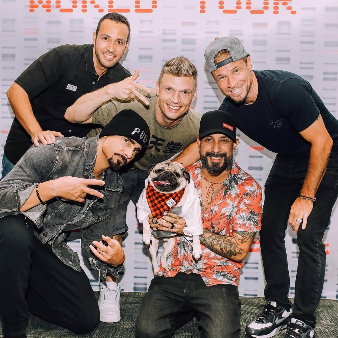 itsdougthepugさんのインスタグラム写真 - (itsdougthepugInstagram)「“Everypuggy (Backstreet’s Back)” -Doug •  Love u @backstreetboys ❤️」8月28日 0時15分 - itsdougthepug