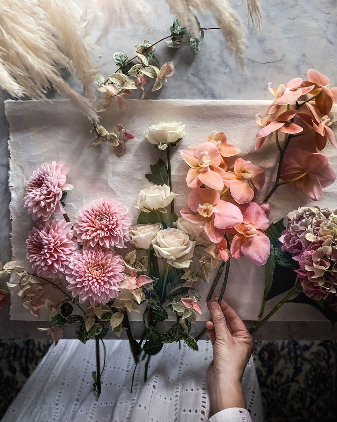 柳澤麻衣さんのインスタグラム写真 - (柳澤麻衣Instagram)「Pink phalaenopsis orchid✨ #flowerpower . コーラルピンクの胡蝶蘭 , iPhone📱」8月28日 0時49分 - toile_blanche