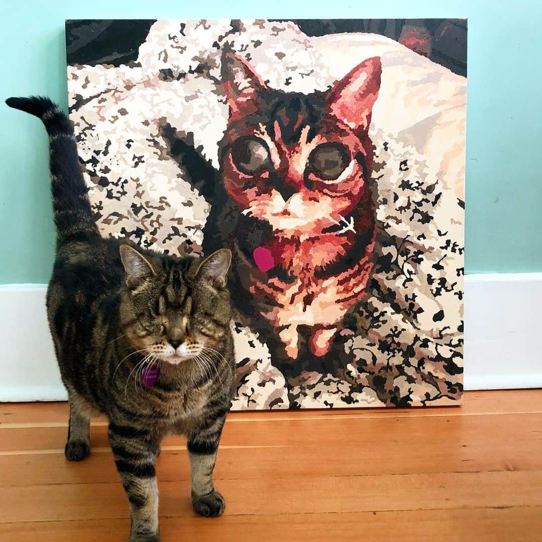 のインスタグラム：「New me, who dis?? 😸 It took forever, but I’ve finally got a photo with my @paintillio !! 🎨  The Bearded Man LOVED painting this custom paint by number of me! He said it was better than a puzzle! 🧔  It turned out so well, and it was so much fun. He says he’s not an artist but come on, look at it. Big thanks to @paintillio to sending this our way. We had so much fun, and now we have custom artwork of ME to hang in our new home!! 💜  As for an update on me - my humans have been super busy moving house, and I’ve been super busy exploring my new space! Even without eyes I’m not scared. I love exploring new places and this is a grand adventure! 🏡  #paintillio #paintbynumbers #personalized #customized #artwork #aliencatmatilda #catsofinstagram #yourdailycat #aliencat #love #socute #portrait #paint #painting #doityourself」