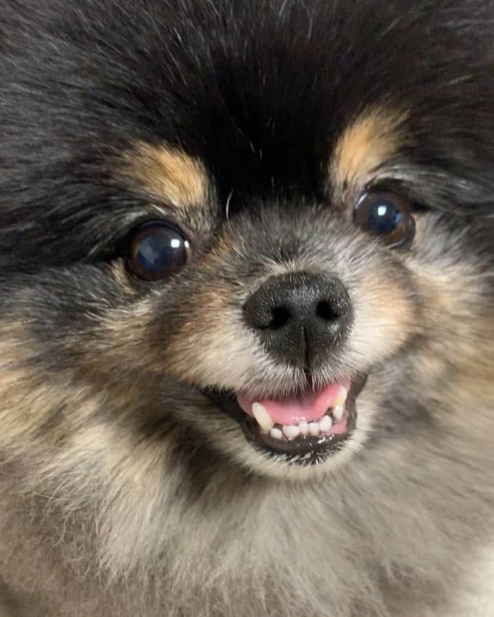 リジ のインスタグラム：「🖤오늘하루도 행복한 짜장이🖤」