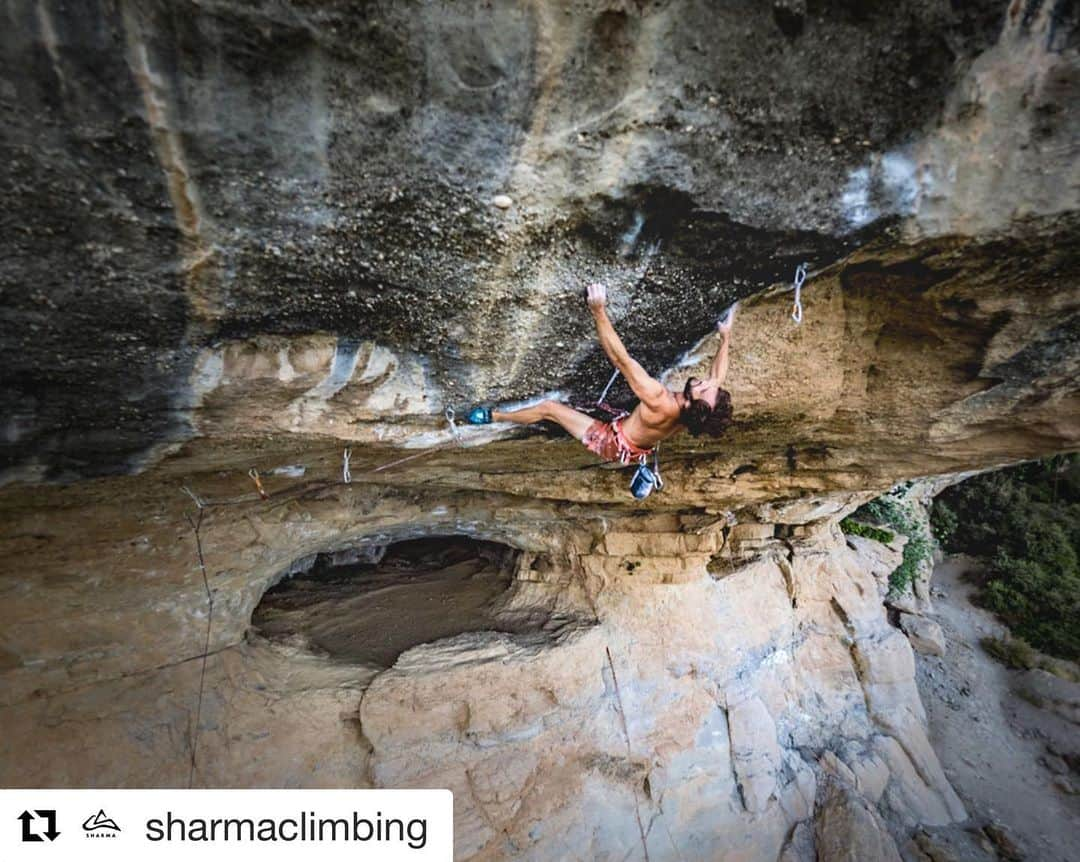 クリス・シャーマさんのインスタグラム写真 - (クリス・シャーマInstagram)「#Repost @sharmaclimbing ・・・ 🇺🇲The "cova del ocell" never ceases to amaze... @chris_sharma working a new project that looks amazing! • • • 🇪🇦La cova del ocell no deja de sorprender…  @chris_sharma trabajando un nuevo proyecto que se ve increíble! • • • #climbing #climb #rockclimbing #sportclimbing #indoorclimbing #climbing_pictures #tradclimbing #getstrong #boulder #bouldering #bloc #klettern #arrampicata #escalade #escalada #explore #adventure #exercise #fitness #training #athlete #climbmore #sport #food #comida #bar • • • @petzl_official @prana @tenayaclimbing @frictionlabs @maximropes」8月28日 1時54分 - chris_sharma