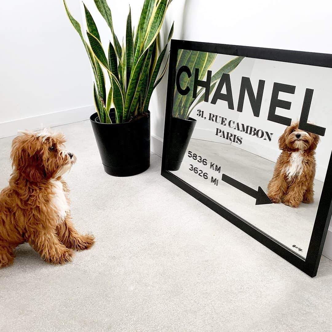 のインスタグラム：「Mirror mirror on the wall... ✨  Our unique mirror art uses vibrant, high-quality inks and it’s printed on the finest glass 💎 and we frame our mirrors by hand in house 💪😘 #olivergal」