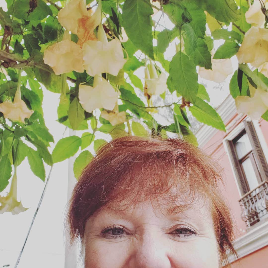 PJクォンさんのインスタグラム写真 - (PJクォンInstagram)「Anyone know the name of these beautiful upside down kinda bell flowers? Wandering in #barrancolimaperú🇵🇪」8月28日 4時50分 - pjkwong