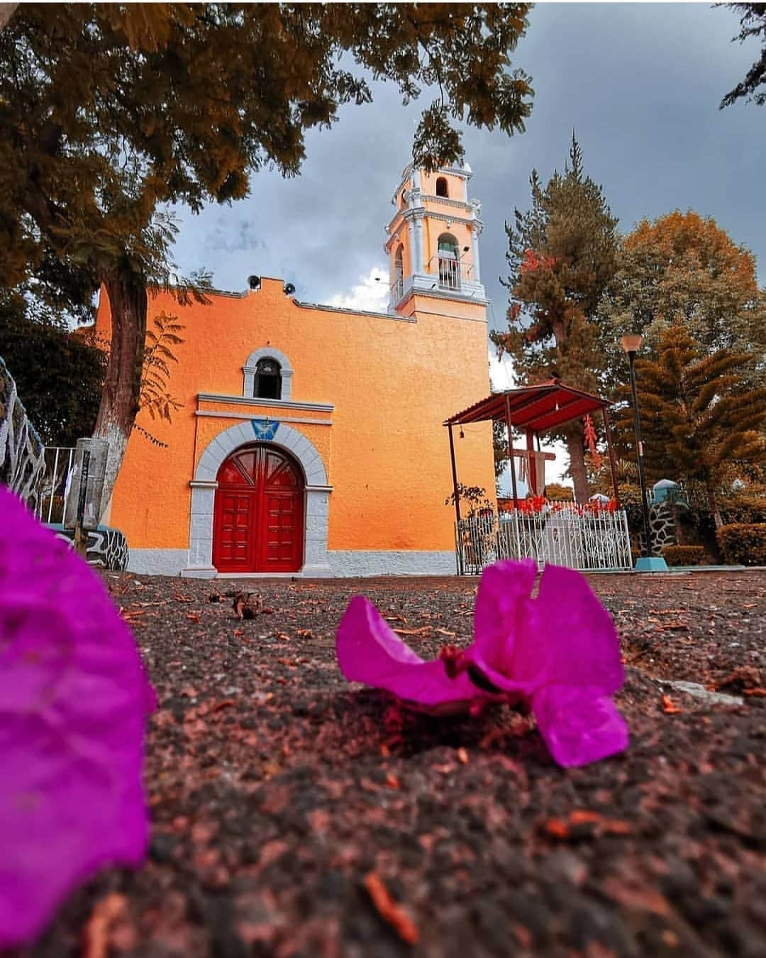 Instagramersさんのインスタグラム写真 - (InstagramersInstagram)「Enjoy the colours with this @eden_halak photo at @igersmexico 😍🙌📸 #IGERSMEXICO #igers」8月28日 6時15分 - igers