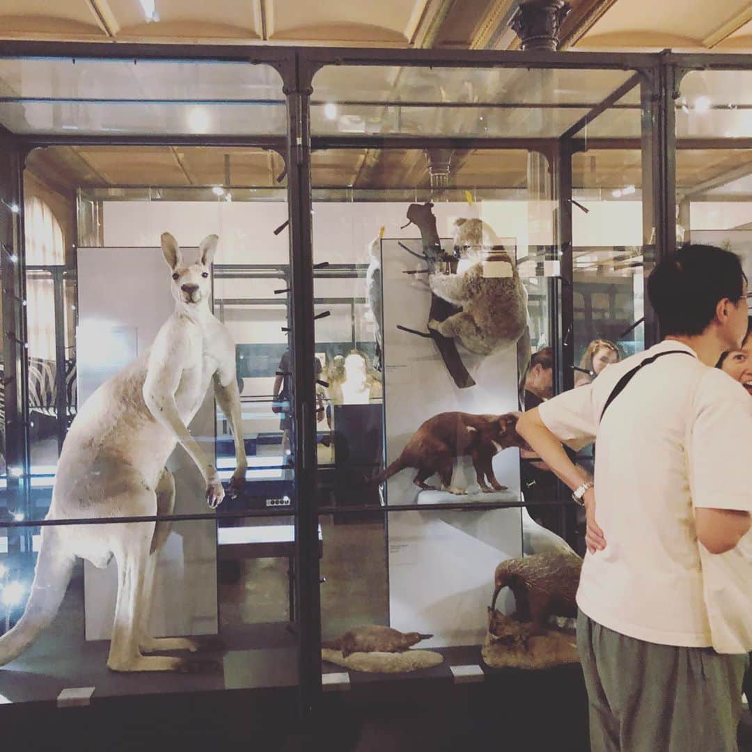 浜島直子さんのインスタグラム写真 - (浜島直子Instagram)「ベルリン自然史博物館(フンボルト博物館)へ。  小さい頃からどわぃ好きなマイベストワン恐竜、ブラキオサウルスがドドーンとお出迎えしてくれて、大感激！🦕✨✨ (大きすぎてフレームに入らず！世界最大の骨格標本で、ギネスに載っているそう)  他にもありとあらゆる生き物が展示されていて、私はワクワク。息子はちょっと怖くてドキドキ。  特に写真8枚目のホルマリン漬けの部屋は圧巻で、温度も低めに管理されているせいか、他の部屋とはまた違う少し不気味な雰囲気。 (蛇がネズミを丸呑みする瞬間のホルマリン漬けなども…😵) 地球誕生のムービーや、鉱物の部屋もとても面白かった。  宇宙も鉱物も全然詳しくないけれど、綺麗だなぁとか、なんでこうなってるのかなぁとか、そう思いながら見るだけでとても楽しかった。  息子は最後の最後で怖くて泣いちゃったけど😂 ・ #ベルリン #ベルリン自然史博物館 #フンボルト博物館 #ブラキオサウルス #息子は恐竜怖いらしい #動かない動物も怖いらしい #フワフワして可愛いものが好きらしい #ここにもみゆきちゃん」8月28日 6時45分 - hamaji_0912