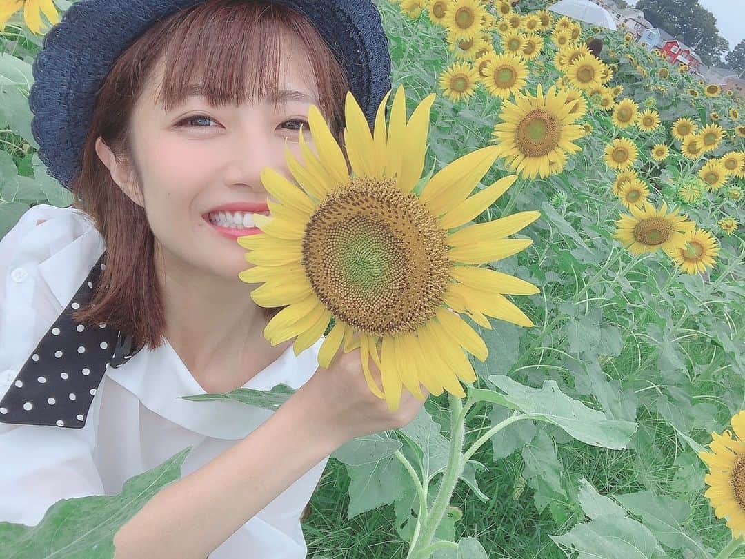 古川真奈美さんのインスタグラム写真 - (古川真奈美Instagram)「.﻿ .﻿ 🌻﻿ ﻿ ﻿ #ひまわりおばさん﻿ #ひまわり畑  #ヒマワリ畑﻿ #instagood  #instadiary ﻿ #instalike #instamood ﻿ #ow #instapic #instaphoto﻿ #girl　#follow #followme  #gravure  #japanesegirl  #selfies  #インスタグラビア」8月28日 17時35分 - mana_0619