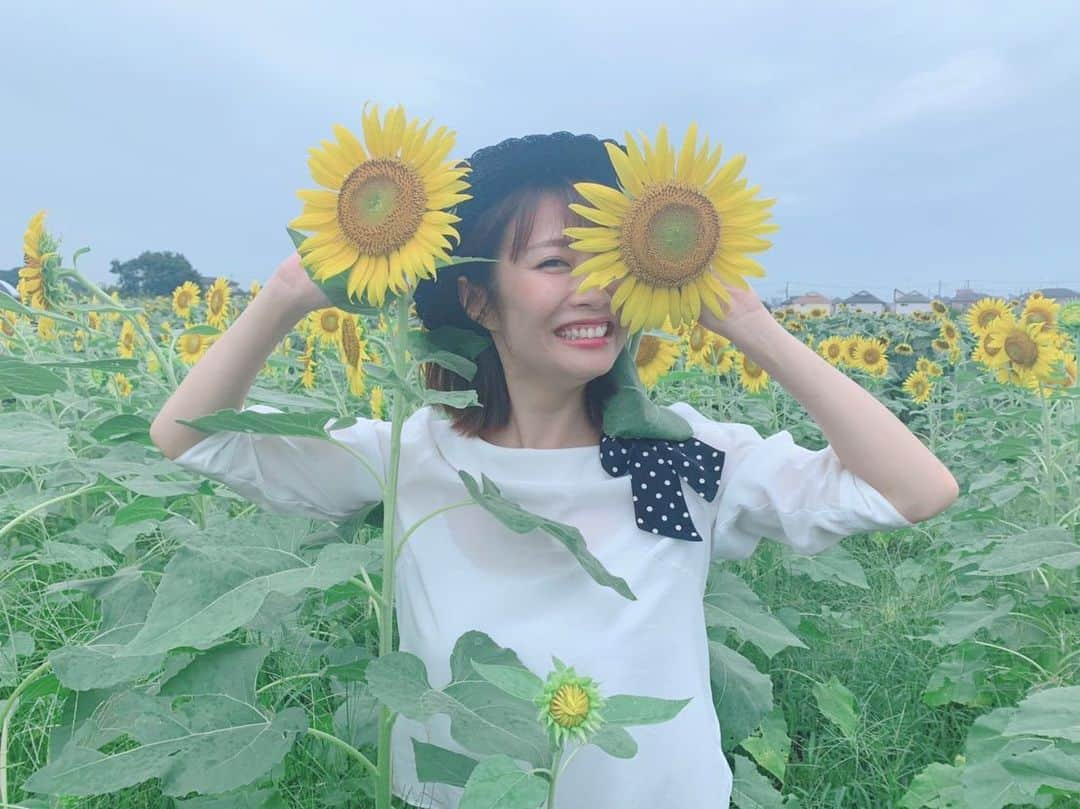 古川真奈美さんのインスタグラム写真 - (古川真奈美Instagram)「.﻿ .﻿ 🌻﻿ ﻿ ﻿ #ひまわりおばさん﻿ #ひまわり畑  #ヒマワリ畑﻿ #instagood  #instadiary ﻿ #instalike #instamood ﻿ #ow #instapic #instaphoto﻿ #girl　#follow #followme  #gravure  #japanesegirl  #selfies  #インスタグラビア」8月28日 17時35分 - mana_0619