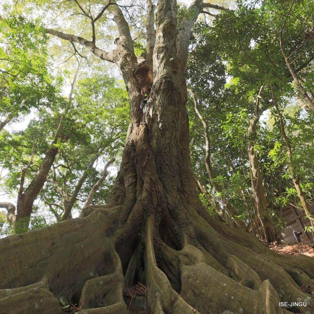 伊勢神宮のインスタグラム