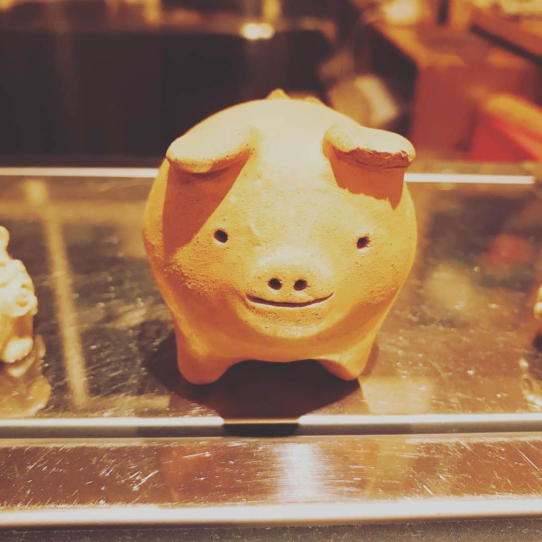 高橋奈苗さんのインスタグラム写真 - (高橋奈苗Instagram)「幸せの三つ足のブタちゃん🐷 とても可愛い顔で見てくるからヨシヨシ、ってさせてもらった。 ・ でも、幸せってなんだろうね？ 自分の心次第 自分のとらえかた次第 なのかな？」8月28日 11時30分 - nanae_passion_