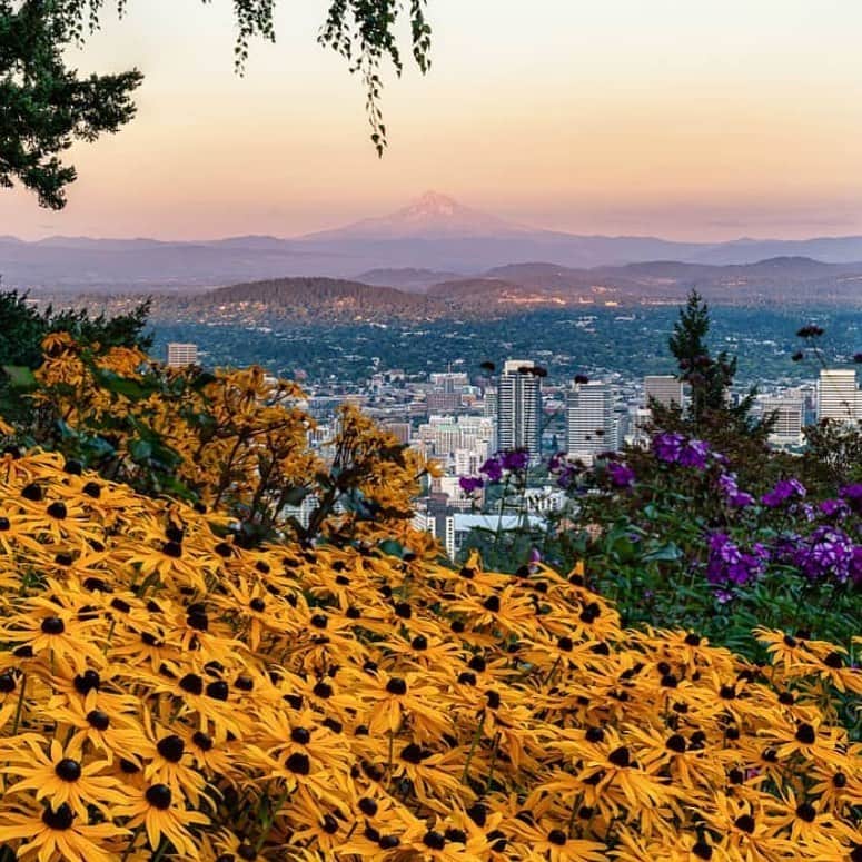 Portlandさんのインスタグラム写真 - (PortlandInstagram)「Is it just me or has this summer has gone by way too fast?! What are your plans for soaking up the last of theses summer rays & days? - 📍:Pittock Mansion 📷:@wasimofnazareth - #Portland #PortlandNW #PDX #Summer #OregonNW #Oregon」8月28日 12時13分 - portland