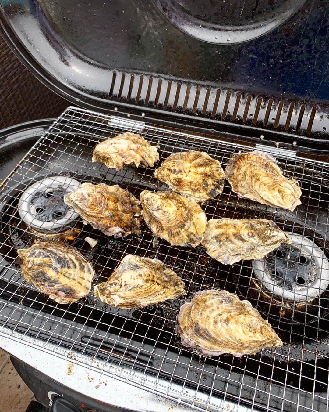 佐倉真衣さんのインスタグラム写真 - (佐倉真衣Instagram)「皆んなでBBQ🤗 今年も海の幸は北海道からお取り寄せ♡ . 人数も多かったので、いつもお世話になっている @a_uroko の厚岸の牡蠣と、初めましての仙鳳趾の牡蠣を2種類食べ比べしました🤤 どちらも信じられないくらい濃厚でクリーミーで美味しすぎる🥺 他にも、時しらずにほっけにつぶ貝にホタテにイカにオイスターピザとたらふく食べて大満足の贅沢バーベキュー✨ (もちろんお肉も沢山食べた) また来年もやりたいなー🦑 . というか厚岸の牡蠣は通年食べられるから、定期的に積極的に食べていきたい！ 本当にひと口食べてびっっっくりするから興味アリの方はぜひお取り寄せしてみてほしい😝 . #BBQ #oyster #seafood #hokkaido #foodiejapan #厚岸BBQ #厚岸glam #エーウロコ #厚岸 #浅井水産 #仙鳳趾 #牡蠣 #厚岸岡田スペシャル」8月28日 12時47分 - maitanaka20