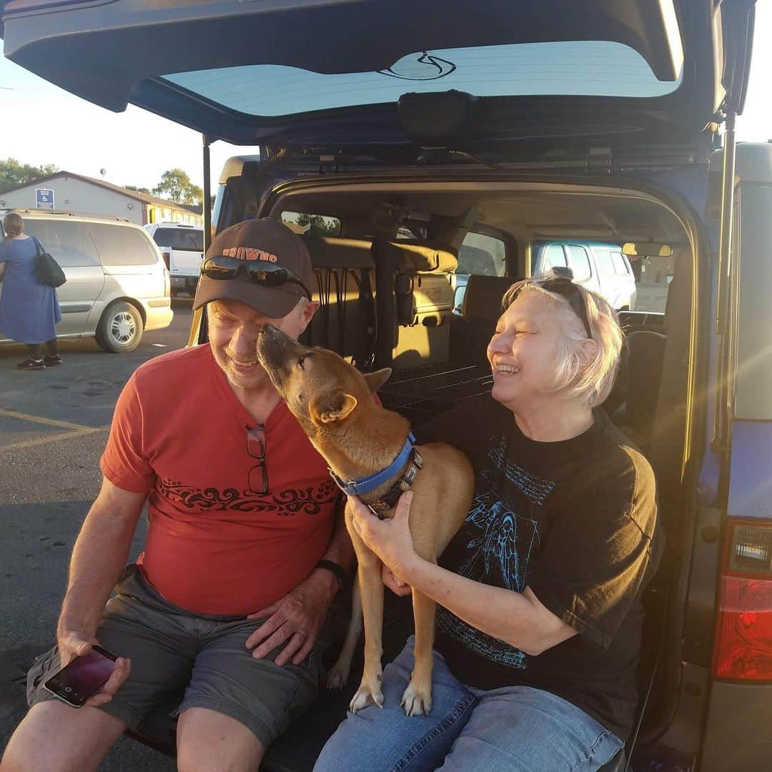 Rylaiさんのインスタグラム写真 - (RylaiInstagram)「Rescue update!!! Did you know that The JABCECC support the rescue of New Guinea Singing Dog?  We have been assisting in the transport and placement of a Singing dog named Finn.  He was currently being fostered by our colleagues at Keepers of the Bond and needed to get from Ohio to out west to meet his new forever mama, Ann. This was one of those from a tragedy comes light. Ann, a long time singer owner and supporter of many many rescues recently lost her singer named Finn.  Well, there was another Finn that was living with a lady who passed away.... so Finn2 or F2 (as I call him) was destined to be with Ann out west.... but we had to get him to her... middle of summer, can’t fly him, a few medical emergencies delayed the transport.... and then finally... late last night F2 was safely in his new forever home- making himself comfy in bed with his new family!!! . As everyone hears me say over and over again- it takes a village.... and we need to support each other in conservation work. We had a $500 donation specified for singer rescue in our primitive dog rescue fund.... Keepers of the Bond, Deneen Ansley and  @msandif dedicated their time to transport him across the country!! And the new owner Ann provided financial support as well.... together we were able to have a successful rescue.... TOGETHER we can accomplish so much!!!! TOGETHER we are stronger!!! . Singer rescue is something that Amy, the Co-founder, is very passionate about. Finding good homes for singers and finding singers that need good homes is a huge aspect of her work at the center. Today was a win for the Singer community, for non-profits working together, for humans supporting each other, for helping canids!!!! Because we owe them more!! . Our primitive dog rescue fund is depleted now!!! If you would like to donate to help support our rescues, please go to the website www.jabcecc.org - because TOGETHER WE WILL!! . . #donate #rescue #support #nonprofit #finn #finn2 #f2 #lovedogs #savedogs #dogsofig #adopt #primitivedogs #ngsd #newguineasingingdogs #jabcecc #rescuefund #sandiego #singers #love #help #togetherwecan #fundraiser #grandopening #volunteer #transport #dedication Photos by @msandif」8月28日 12時53分 - jabcecc