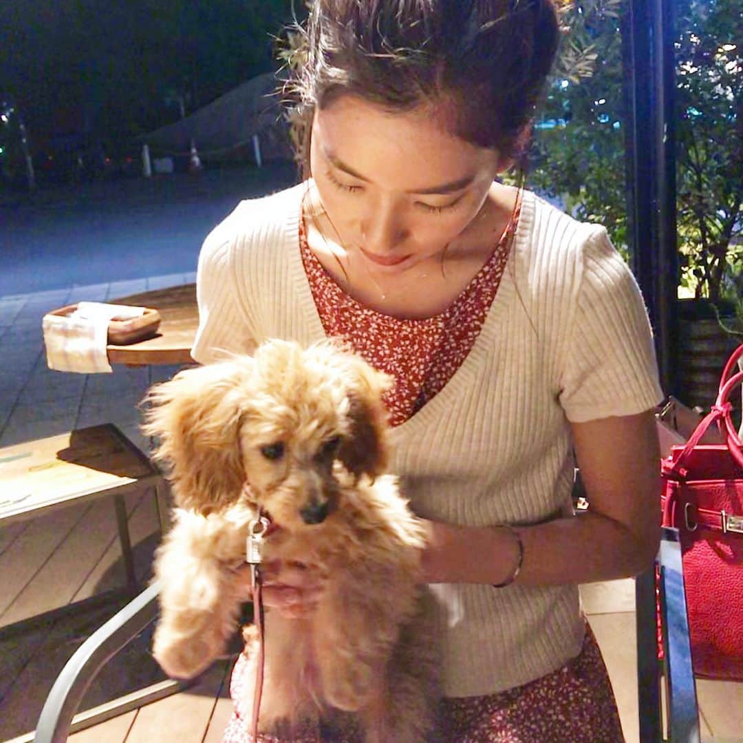 布川桃花のグルメインスタ