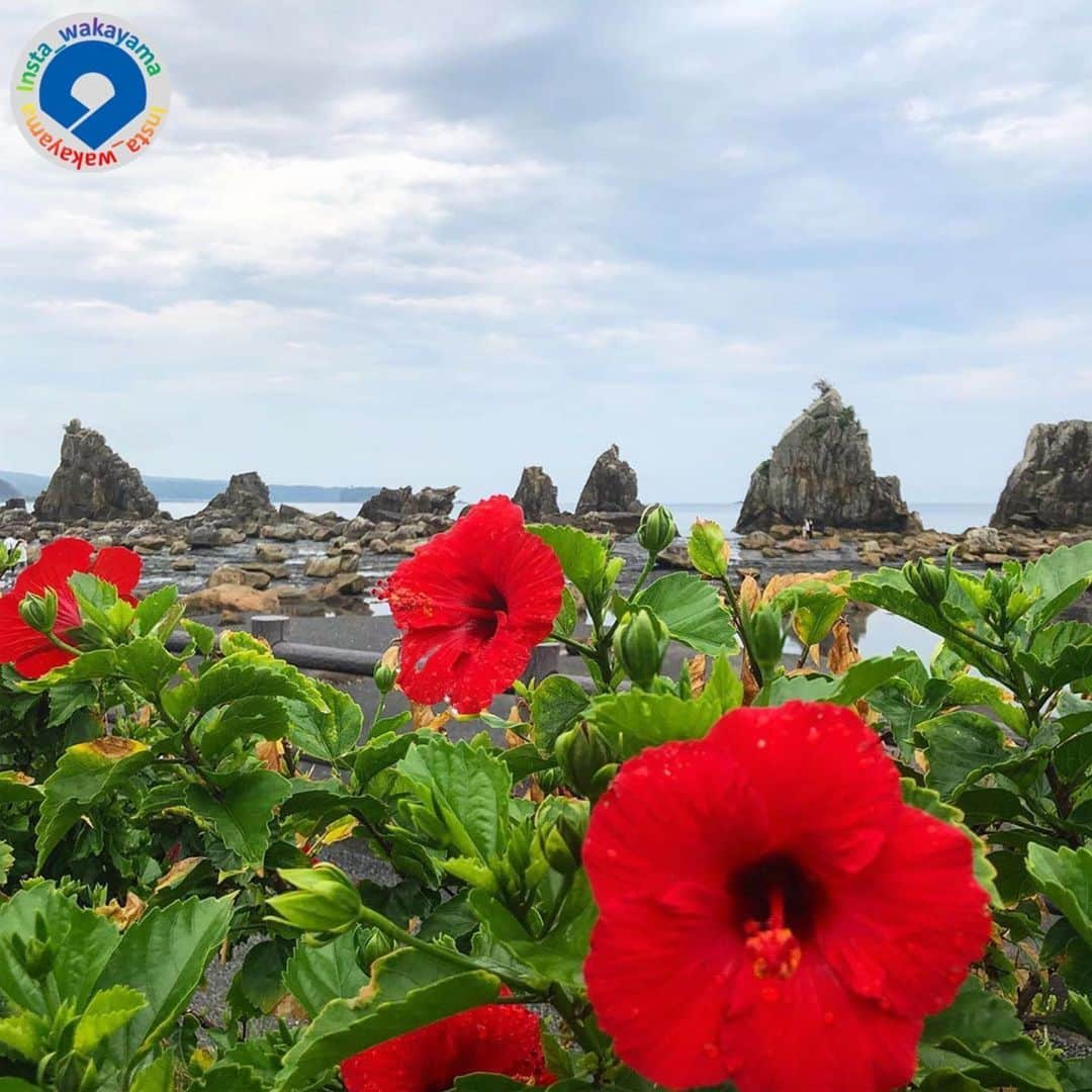 和歌山県のインスタグラム