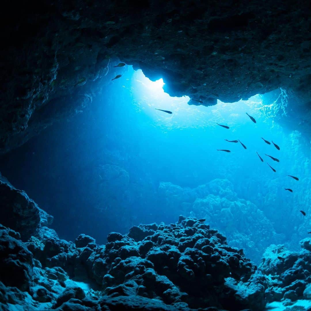 DFS & T Galleriaさんのインスタグラム写真 - (DFS & T GalleriaInstagram)「Want to take one last adventure before summer ends? Plan a trip to the Blue Caves of Cape Maeda in Okinawa – a popular snorkeling spot for locals & tourists alike for its magical blue light and unique marine life.」8月28日 15時00分 - dfsofficial