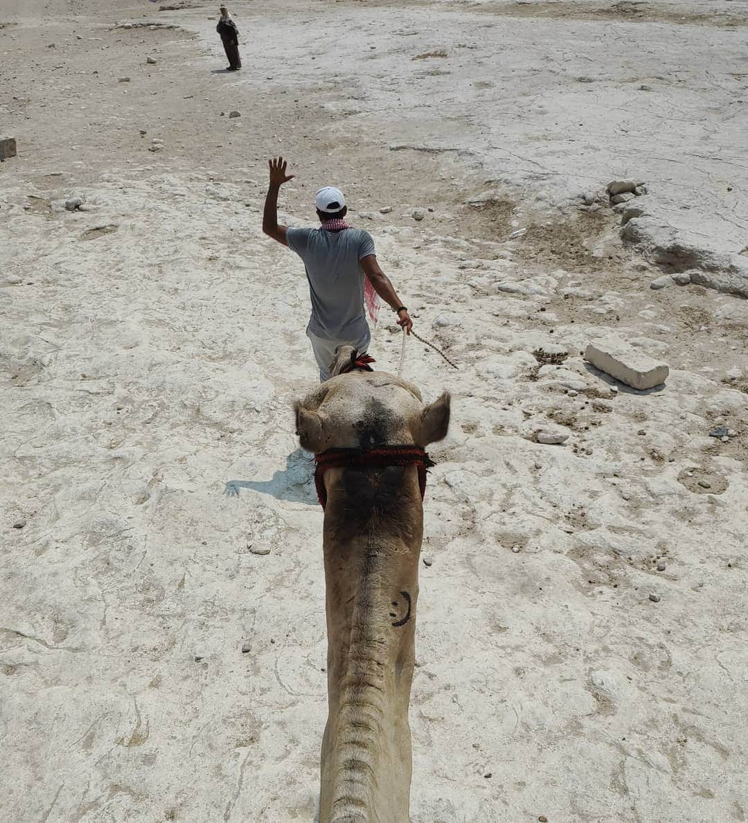 有坂翔太のインスタグラム：「ラクダ🐫結構高くて驚いた！」