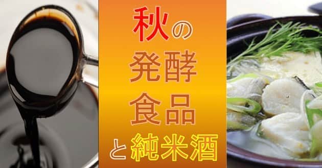 純米酒専門八咫 渋谷店のグルメインスタ