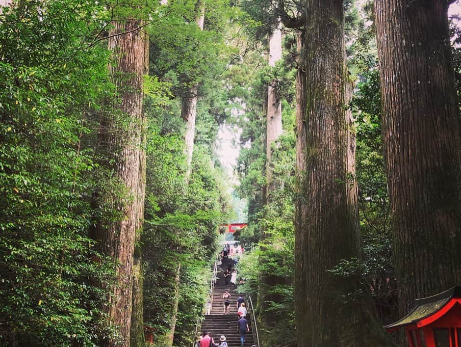 鷹木信悟さんのインスタグラム写真 - (鷹木信悟Instagram)「🙏⛩🐉🐉🐉🐉🐉🐉🐉🐉🐉✨ #九頭龍神社 #龍神水 #箱根神社」8月28日 15時34分 - takagi__shingo