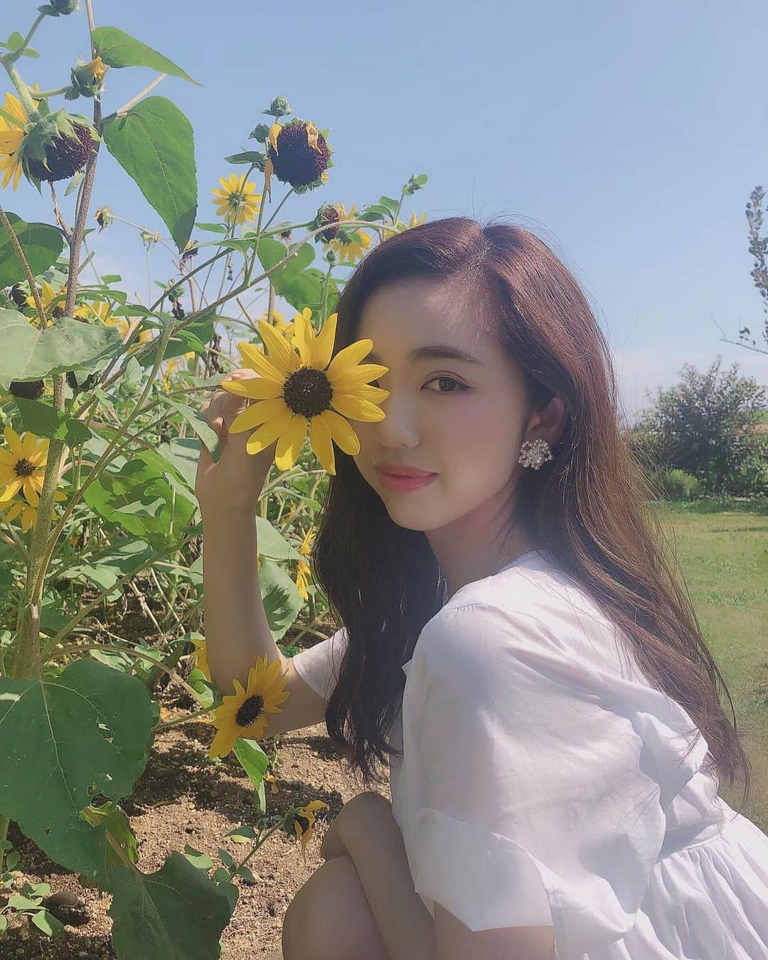 濵松里緒菜さんのインスタグラム写真 - (濵松里緒菜Instagram)「* * * Sunflowers mean a lot to me. It reminds me that I really love what I love doing and I shouldn’t give up even though at times I feel like I do. Anyways, just wanted to say thanks for always supporting!! It really means a lot to me☺︎ * * #sunflower #ひまわり #ひまわり畑」8月28日 15時43分 - riona_hamamatsu