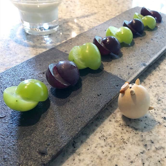 榊山敬代のインスタグラム：「🍇🗓… ・  コロコロ コロコロ  今朝もぶどう祭りの巻  ひとつぶひとつぶ  たべて消えゆくかんじは 夏のカレンダーのように  夏のおわりを コロコロりと  カウントしている様な 八月おわりの朝の風景  さて  先程の墨絵作業 アッと間違えて  描き直せない現状に ショックのかたわら ・ 🙀 ・ 描き直せばいいねと 開き直ってきたいま ・ 😹 ・ さて  描き直しの巻 ・ ・ ・ ・ 🎐… ・ 個展のご案内  榊山敬代 日本画展 「浄」Kiyoshi 泥水に咲く蓮のように  会期：令和元年 9月21日(土)／22日(日)／23日(月・祝) 会場：池上大坊本行寺客殿１階　牡丹／桔梗之間  開館時間／午前10時から午後3時　 作家在廊時間／全日午後12時から15時 入場料／無料  アクセス／東京都大田区池上2-10-5（都営浅草線西馬込駅・東急池上線池上駅より、いずれも徒歩10分） http://www.hongyozi.or.jp/ ・ ・ ・  この度は 東京は池上大坊本行寺にて 蓮をモチーフに 福島県いわき市のお寺より ご依頼いただき制作しました作品をはじめ いわき市のお寺からインスピレーションを いただき 仏教の説法のひとコマであります 八正道をテーマにしました新作を お披露目させていただきます  三日間と短い会期ではございますが お彼岸の季節に 情緒あるお寺の景観の中で 日本画とこころ浄らかなひとときへ ご案内できればとおもいます  本行寺から本門寺へと続く境内では都心を忘れるような壮観な眺めもございます 展示の他にも見所豊かなお寺ですのでこの機会にゆっくりとご堪能ください  個展開催につきましてのこころざしや 新作に対しての姿勢などはブログなど 少しずつ更新していきたくおもいます  掲載作品 八正道〈弐〉正しい心を灯して生きるとき 〈正命・正精進・正念・正定 図〉 制作 平成31年／絹本・彩色 ・ ・ ---------------------------------------- ・ ・ ・ #morning #朝食  #おうちごはん #brunch #breakfast #fruit #healthy #food #頂き物 #grape #盛り付け #artist #cooking #果物 #頂き物 #🙏 #Muscat #マスカット  #巨峰  #日本画家 の #モーニングプレート #yogurt #お料理こんなもん #summer  #夏のおわり #ショック」
